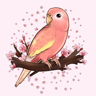 @sammyrosebird on IG