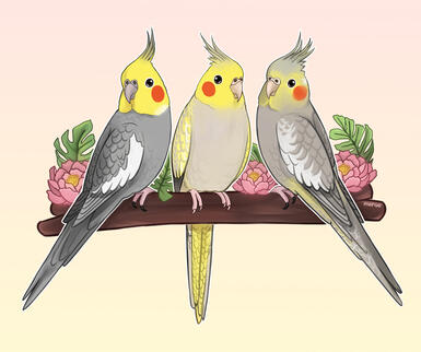 @chickensayshi on IG