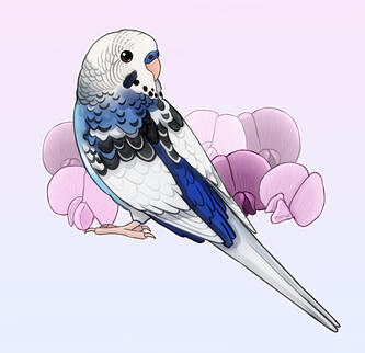 @thegreatgatsbybird on IG