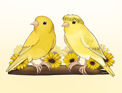 @realhousebirbsofhobartville on IG