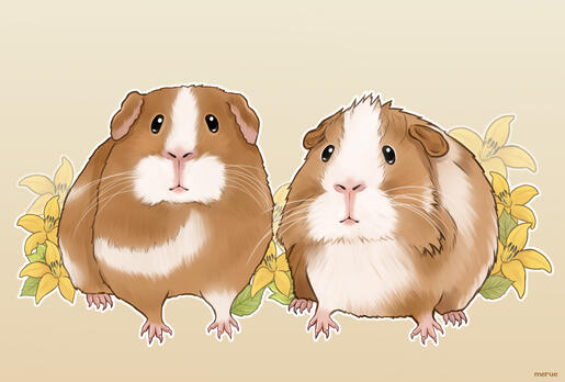 @samz._.piggies on IG