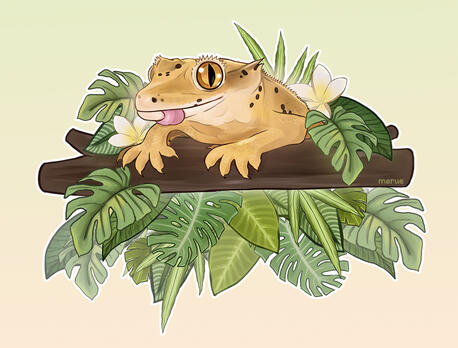 @morganchampionnn on IG