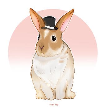 @therealjoshiek on IG